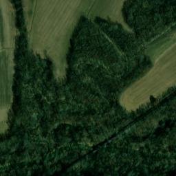 Satellite imagery of Shaw Bluff, US
