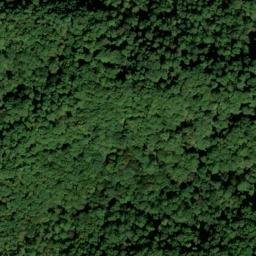 Satellite imagery of Jeff Lee Ridge, US