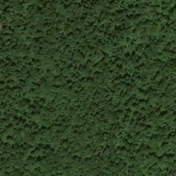 Satellite imagery of Pond Ridge, US