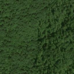 Satellite imagery of Pond Ridge, US