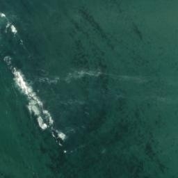 Satellite imagery of Duxbury Point, US