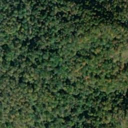 Satellite imagery of Dowdy Bluff, US