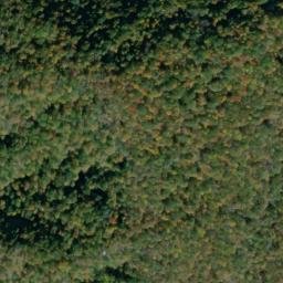 Satellite imagery of Dowdy Bluff, US