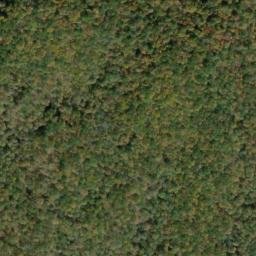 Satellite imagery of Dowdy Bluff, US