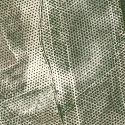Satellite imagery of survey_point, ES