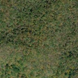 Satellite imagery of Dowdy Bluff, US