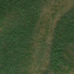 Satellite imagery of Wilkie Ridge, US