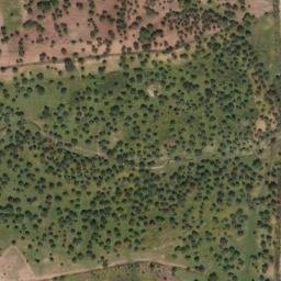Satellite imagery of survey_point, PT