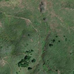 Satellite imagery of Wolf Ridge, US