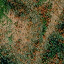 Satellite imagery of Panther Ridge, US