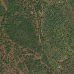 Satellite imagery of survey_point, PT