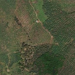 Satellite imagery of survey_point, PT