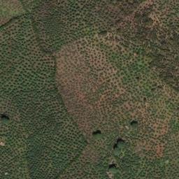 Satellite imagery of survey_point, PT