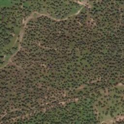 Satellite imagery of survey_point, PT