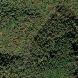 Satellite imagery of Jarrells Ridge, US