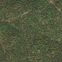 Satellite imagery of survey_point, PT