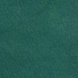 Satellite imagery of Tennessee Point, US