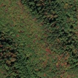 Satellite imagery of Jarrells Ridge, US
