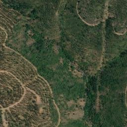 Satellite imagery of survey_point, PT