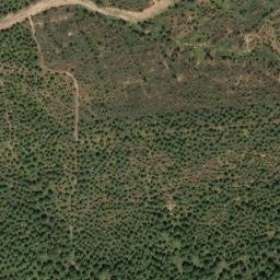 Satellite imagery of survey_point, PT
