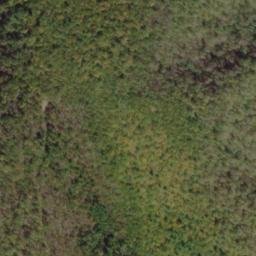 Satellite imagery of Wolf Ridge, US