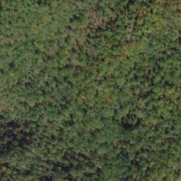 Satellite imagery of Wolf Ridge, US