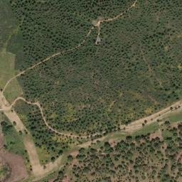 Satellite imagery of survey_point, PT