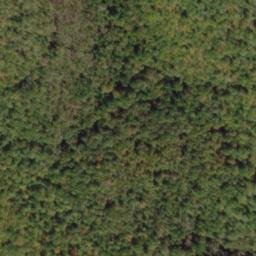 Satellite imagery of Wolf Ridge, US