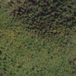 Satellite imagery of Wolf Ridge, US