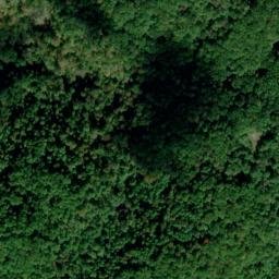 Satellite imagery of Chop Chestnut Ridge, US