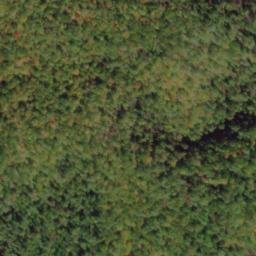 Satellite imagery of Wolf Ridge, US