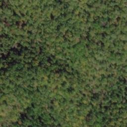 Satellite imagery of Wolf Ridge, US