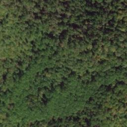 Satellite imagery of Wolf Ridge, US