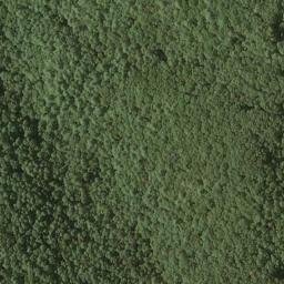 Satellite imagery of Roundtop Ridge, US