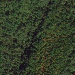 Satellite imagery of Coghill Ridge, US