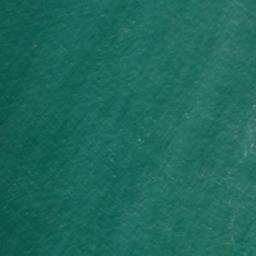 Satellite imagery of Point Lobos, US