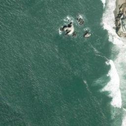 Satellite imagery of Point Lobos, US