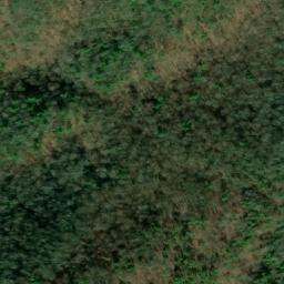 Satellite imagery of Grapevine Ridge, US