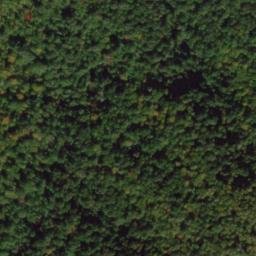 Satellite imagery of Coghill Ridge, US