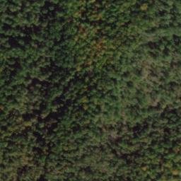 Satellite imagery of Coghill Ridge, US