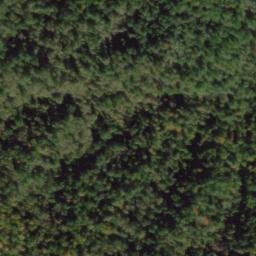 Satellite imagery of Coghill Ridge, US
