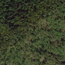 Satellite imagery of Coghill Ridge, US