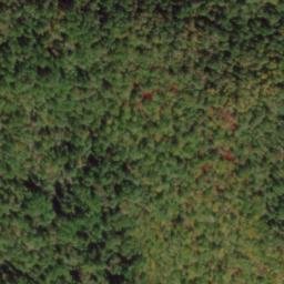 Satellite imagery of Coghill Ridge, US