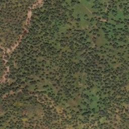 Satellite imagery of survey_point, PT