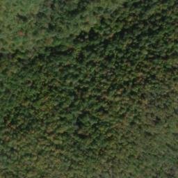 Satellite imagery of Cardinal Ridge, US