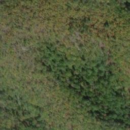 Satellite imagery of Cardinal Ridge, US