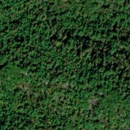 Satellite imagery of Betsy Ridge, US
