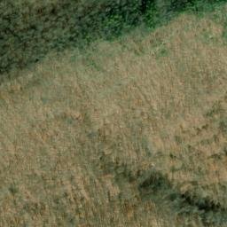 Satellite imagery of Rich Patch Quarry, US