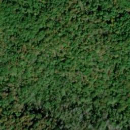 Satellite imagery of Wild Flower Ridge, US