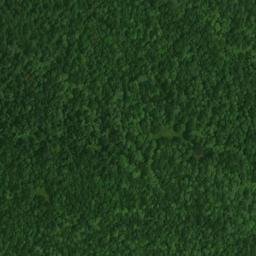 Satellite imagery of Hickory Lick Ridge, US